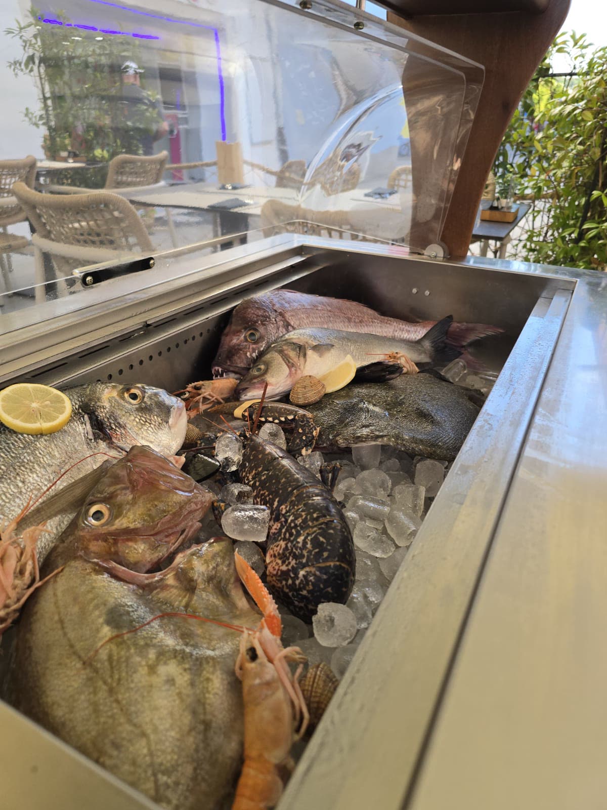 Vitrina svježe ribe – riblji restoran Poreč Vitrina sa svježom ribom i plodovima mora – orada, brancin, jastog i škampi, riblji restoran Poreč Oli Mare | fresh seafood display Porec